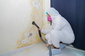 Best Mold Remediation for Healthcare Facilities  in Mcdade, TX